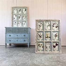 Italian Framed Pressed Flowers